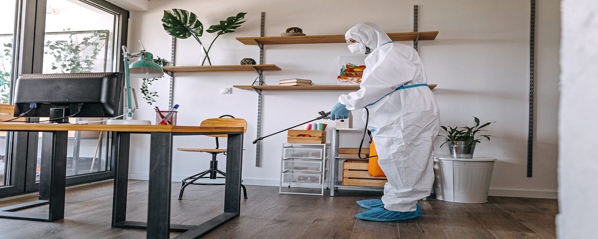 Ödemiş Böcek ve Haşere İlaçlama Hizmeti